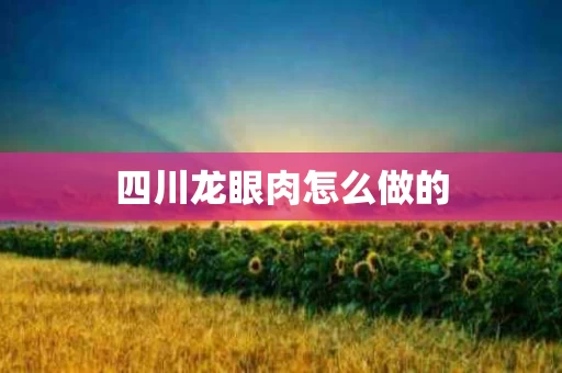 四川龙眼肉怎么做的