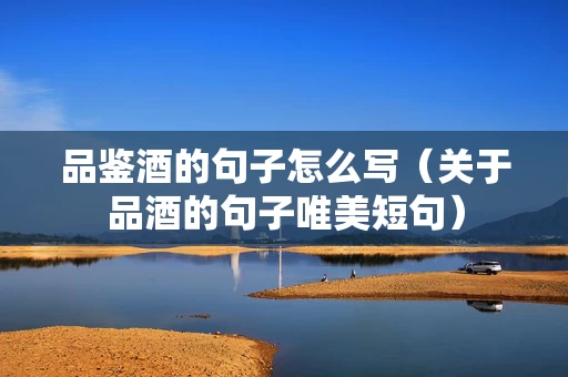 品鉴酒的句子怎么写（关于品酒的句子唯美短句）