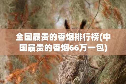 全国最贵的香烟排行榜(中国最贵的香烟66万一包)