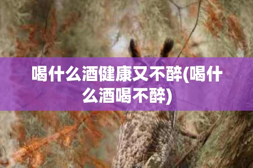 喝什么酒健康又不醉(喝什么酒喝不醉)