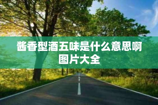 酱香型酒五味是什么意思啊图片大全
