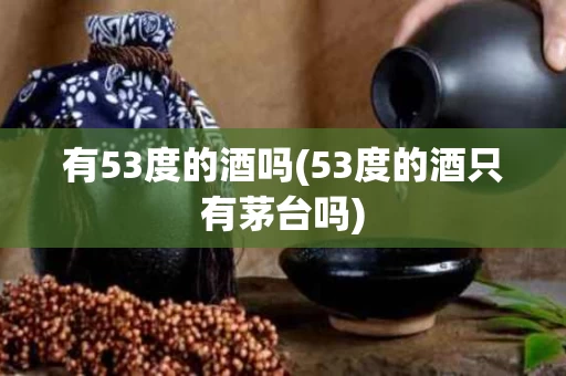 有53度的酒吗(53度的酒只有茅台吗)
