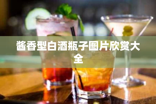 酱香型白酒瓶子图片欣赏大全