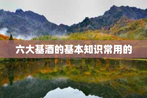 六大基酒的基本知识常用的 六大基酒的基本知识常用的