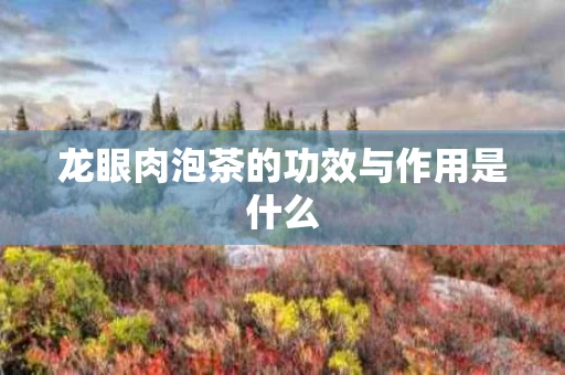 龙眼肉泡茶的功效与作用是什么 龙眼肉泡茶的功效与作用是什么