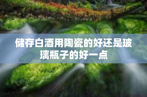 储存白酒用陶瓷的好还是玻璃瓶子的好一点