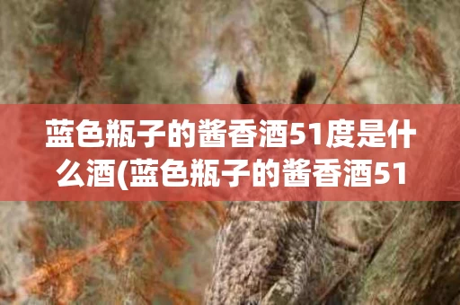 蓝色瓶子的酱香酒51度是什么酒(蓝色瓶子的酱香酒51度是什么酒品牌)