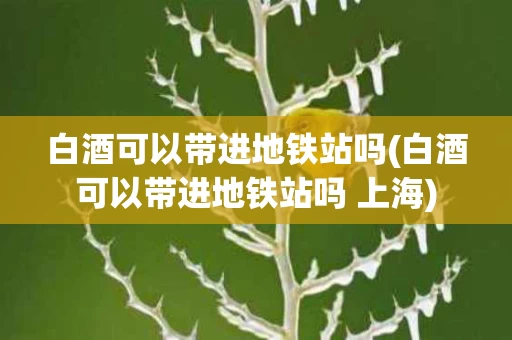 白酒可以带进地铁站吗(白酒可以带进地铁站吗 上海)