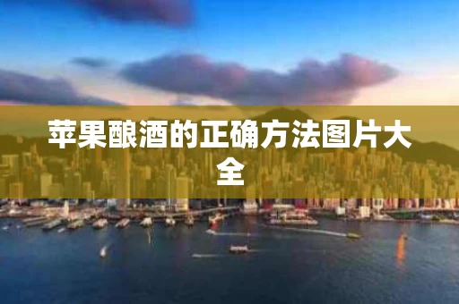 苹果酿酒的正确方法图片大全