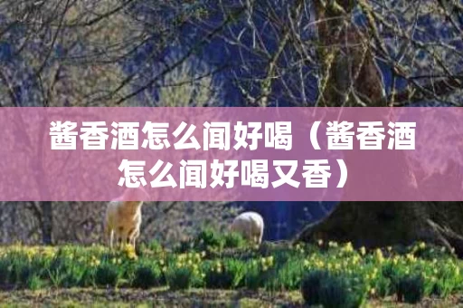 酱香酒怎么闻好喝（酱香酒怎么闻好喝又香）