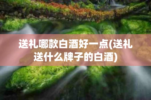 送礼哪款白酒好一点(送礼送什么牌子的白酒)