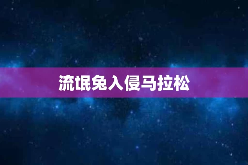 流氓兔入侵马拉松