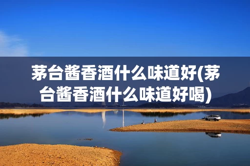 茅台酱香酒什么味道好(茅台酱香酒什么味道好喝)