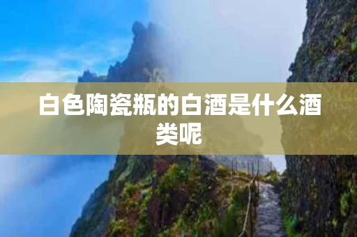 白色陶瓷瓶的白酒是什么酒类呢