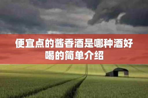 便宜点的酱香酒是哪种酒好喝的简单介绍