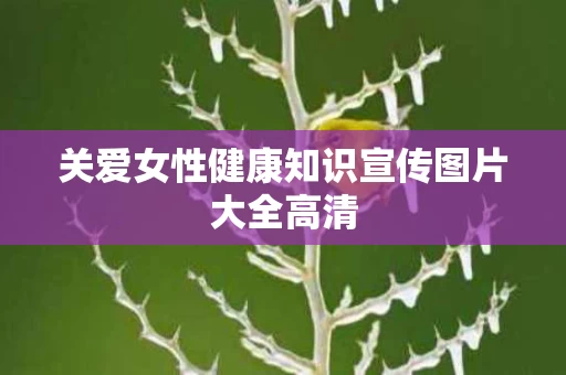 关爱女性健康知识宣传图片大全高清