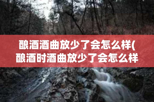 酿酒酒曲放少了会怎么样(酿酒时酒曲放少了会怎么样)