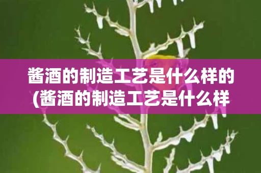 酱酒的制造工艺是什么样的(酱酒的制造工艺是什么样的呢)