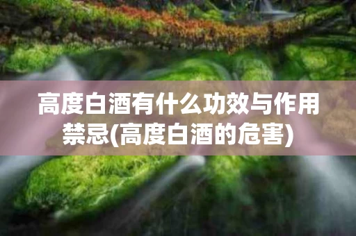 高度白酒有什么功效与作用禁忌(高度白酒的危害)