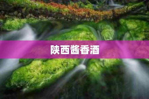 陕西酱香酒