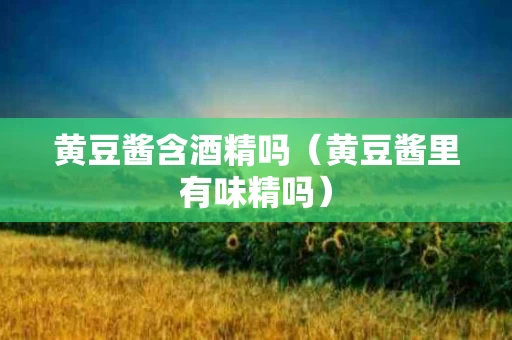 黄豆酱含酒精吗（黄豆酱里有味精吗）