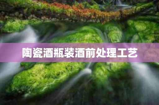陶瓷酒瓶装酒前处理工艺