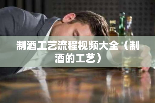 制酒工艺流程视频大全（制酒的工艺）
