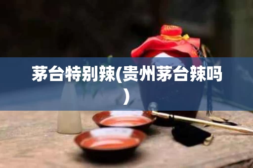 茅台特别辣(贵州茅台辣吗)