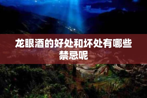 龙眼酒的好处和坏处有哪些禁忌呢
