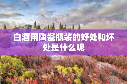 白酒用陶瓷瓶装的好处和坏处是什么呢