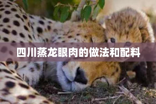 四川蒸龙眼肉的做法和配料