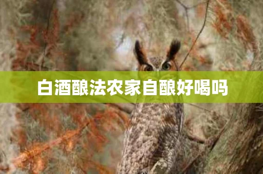 白酒酿法农家自酿好喝吗