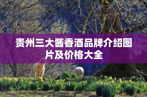 贵州三大酱香酒品牌介绍图片及价格大全