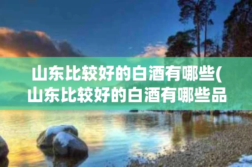 山东比较好的白酒有哪些(山东比较好的白酒有哪些品种)