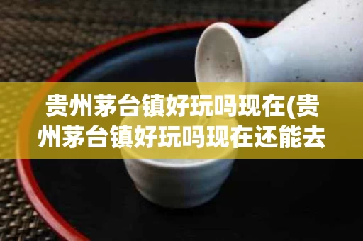 贵州茅台镇好玩吗现在(贵州茅台镇好玩吗现在还能去吗)