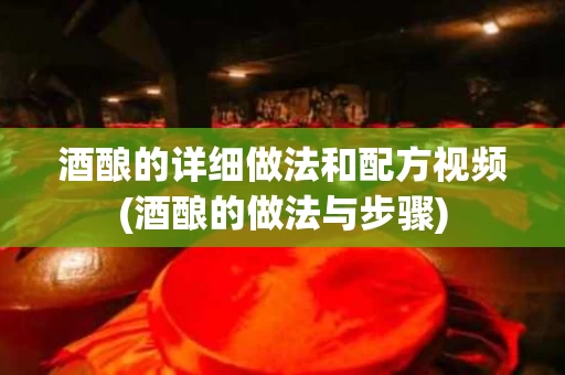 酒酿的详细做法和配方视频(酒酿的做法与步骤)