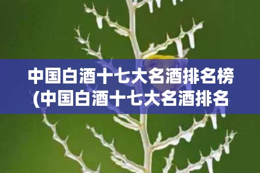 中国白酒十七大名酒排名榜(中国白酒十七大名酒排名榜最新)