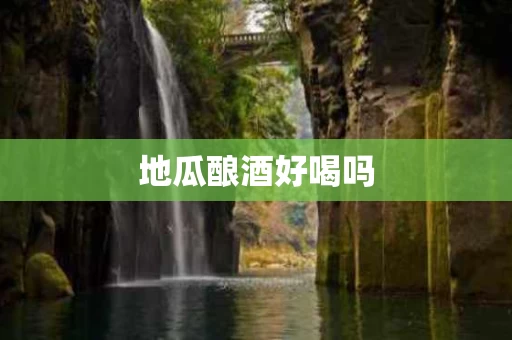 地瓜酿酒好喝吗