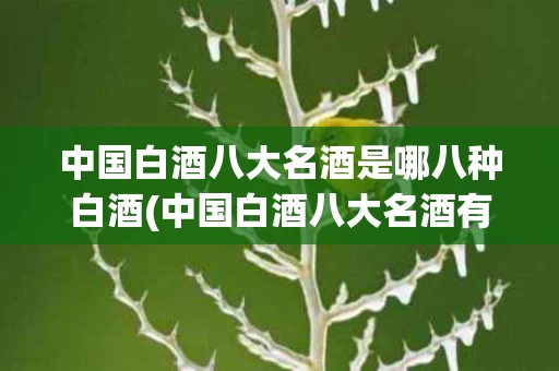 中国白酒八大名酒是哪八种白酒(中国白酒八大名酒有哪些)