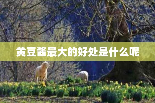 黄豆酱最大的好处是什么呢
