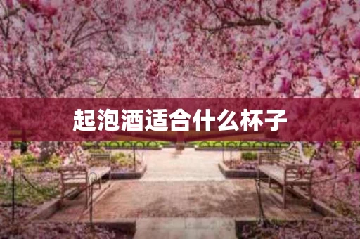 起泡酒适合什么杯子