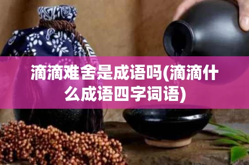 滴滴难舍是成语吗(滴滴什么成语四字词语)