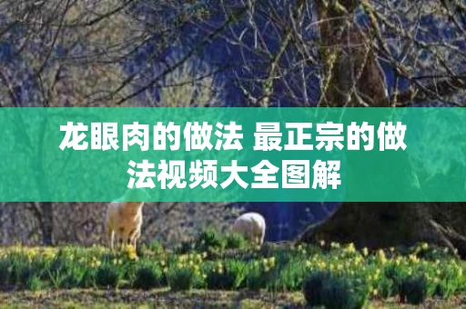 龙眼肉的做法 最正宗的做法视频大全图解