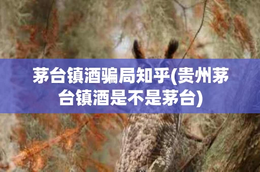 茅台镇酒骗局知乎(贵州茅台镇酒是不是茅台)