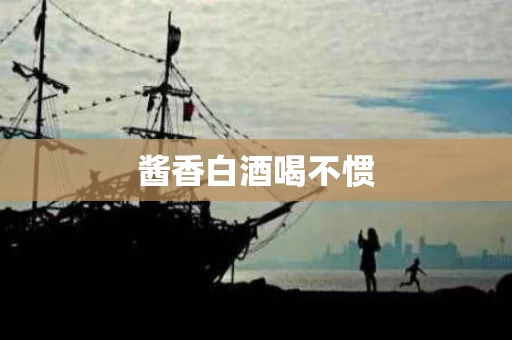 酱香白酒喝不惯
