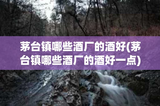 茅台镇哪些酒厂的酒好(茅台镇哪些酒厂的酒好一点)