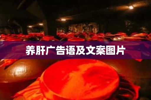 养肝广告语及文案图片