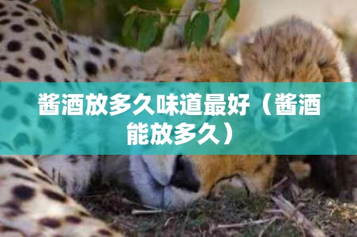 酱酒放多久味道最好（酱酒能放多久）