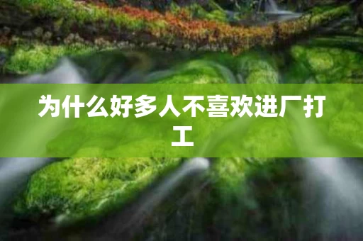 为什么好多人不喜欢进厂打工