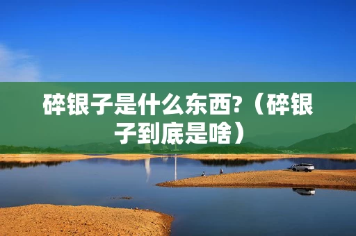 碎银子是什么东西?（碎银子到底是啥）
